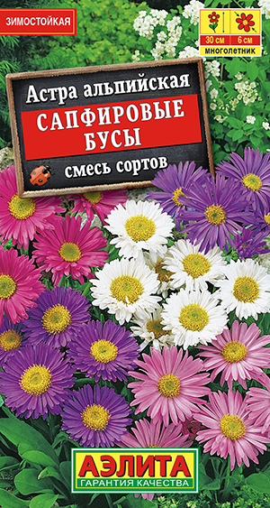 ����� ���������� ���������� ����, ����� ������