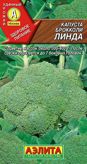 ������� �������� �����