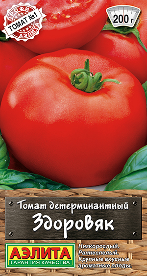 ����� ��������