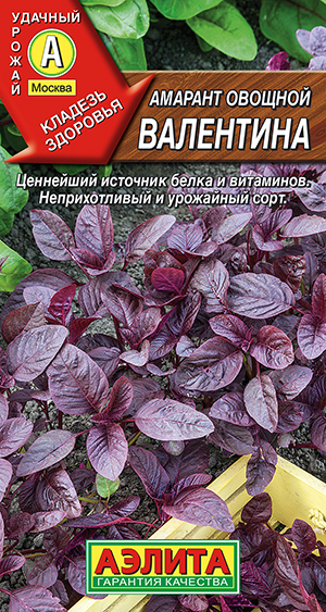 Амарант овощной Валентина Амарант овощной Валентина
