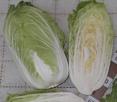Капуста пекинская Гранат Капуста пекинская Гранат