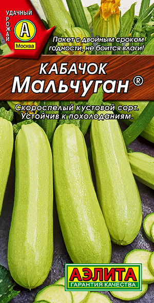 Кабачок белоплодный Мальчуган ® Кабачок белоплодный Мальчуган ®