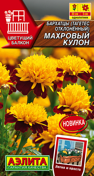 Бархатцы Махровый кулон отклоненные Бархатцы Махровый кулон отклоненные