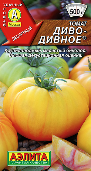 ����� ����-������