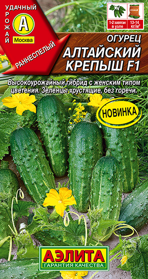 Огурец Алтайский крепыш F1