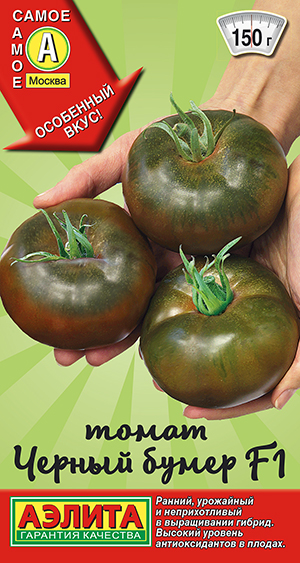 ����� ������ ����� F1