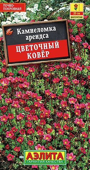 ���������� ��������� �����