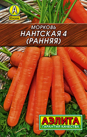 Морковь Нантская 4 (РАННЯЯ) Морковь Нантская 4 (РАННЯЯ)