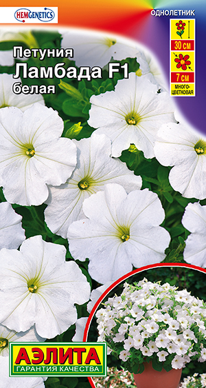 Петуния Ламбада F1 белая многоцветковая Петуния Ламбада F1 белая многоцветковая