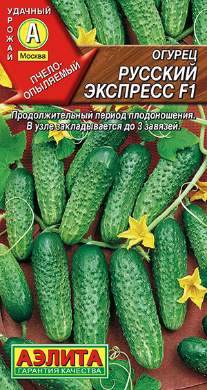 ������ ������� �������� F1