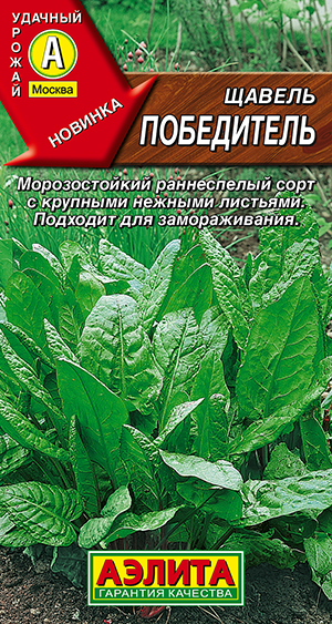 Щавель Победитель Щавель Победитель
