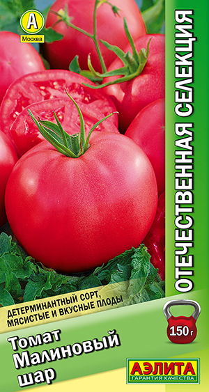 ����� ��������� ���