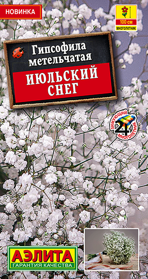 ��������� �������� �������� ���� �����������