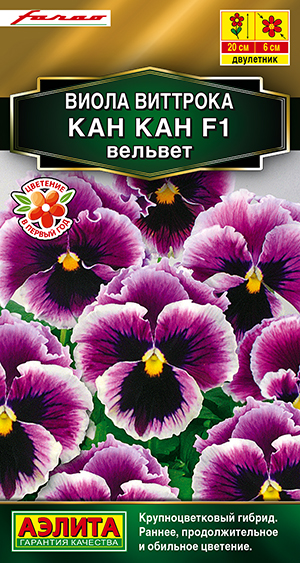 Виола Кан Кан F1 вельвет Виола Кан Кан F1 вельвет