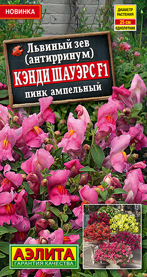 Львиный зев Кэнди Шауэрс F1 пинк ампельный Львиный зев Кэнди Шауэрс F1 пинк ампельный