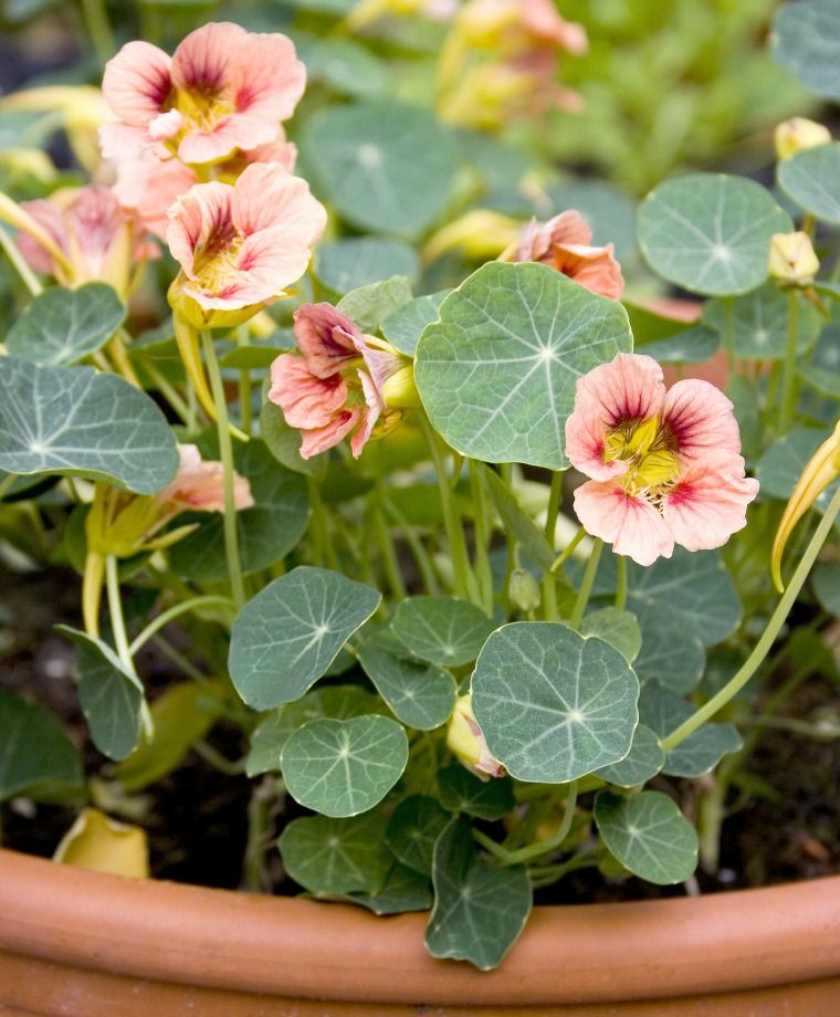 ��������� ���������� ���������� ��� ��� ���� ����