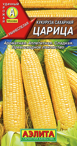 �������� �������� ������