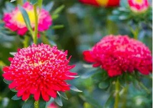 ����� ��������� ��������� ��� �����