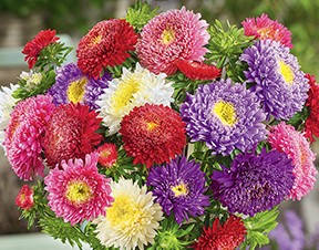 ����� ��������� �������, ����� ������