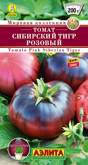 ����� ��������� ���� �������