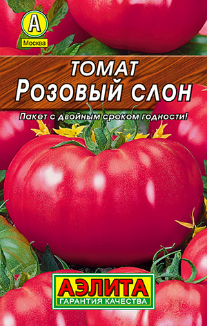 ����� ������� ����