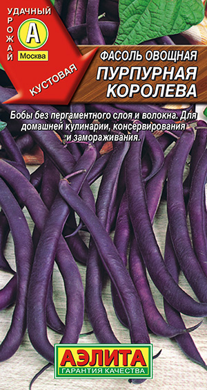 Фасоль овощная Пурпурная королева Фасоль овощная Пурпурная королева