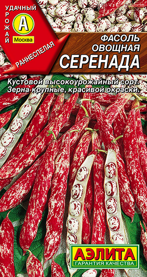 ������ ������� ��������