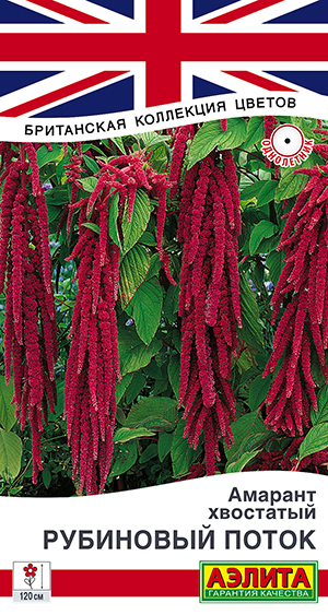 Амарант Рубиновый поток Амарант Рубиновый поток