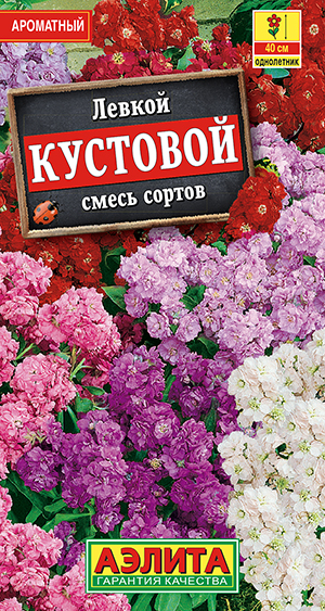 Левкой Кустовой, смесь сортов Левкой Кустовой, смесь сортов