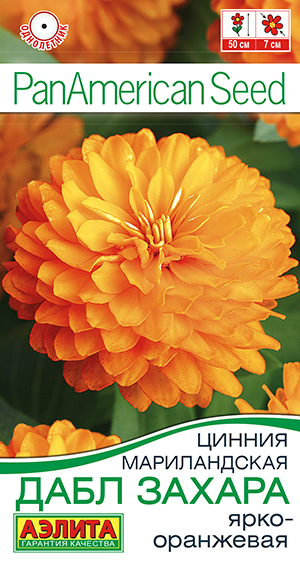 Цинния Дабл Захара ярко-оранжевая Цинния Дабл Захара ярко-оранжевая