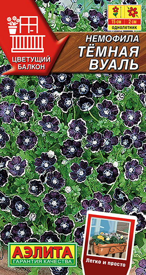 Немофила Темная вуаль Немофила Темная вуаль