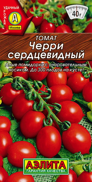 ����� ����� ������������