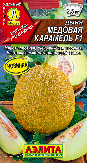 ���� ������� �������� F1