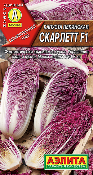 ������� ��������� �������� F1