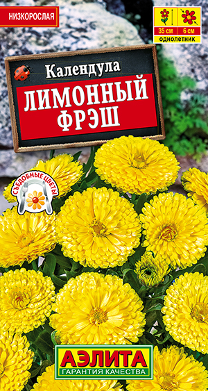 ��������� �������� ����