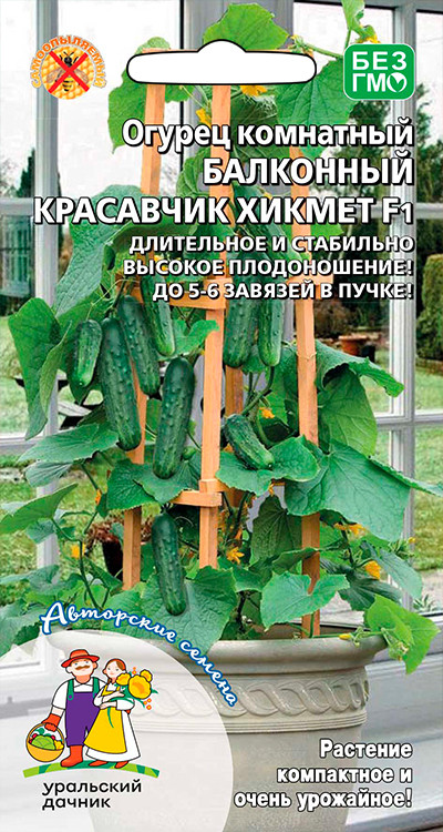 Огурец Балконный красавчик Хикмет F1 Огурец Балконный красавчик Хикмет F1