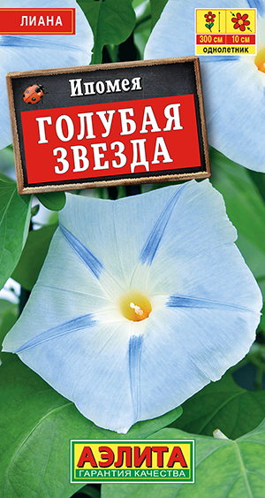 ������ ������� ������