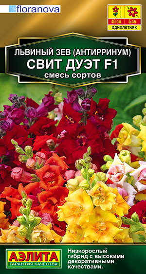Львиный зев Свит дуэт F1, смесь сортов Львиный зев Свит дуэт F1, смесь сортов
