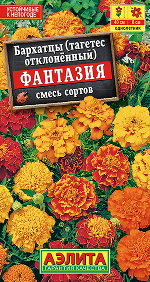 �������� �������� �����������, ����� ������