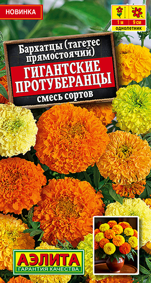 Бархатцы Гигантские протуберанцы прямостоячие, смесь сортов Бархатцы Гигантские протуберанцы прямостоячие, смесь сортов