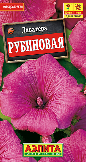 Лаватера Рубиновая Лаватера Рубиновая