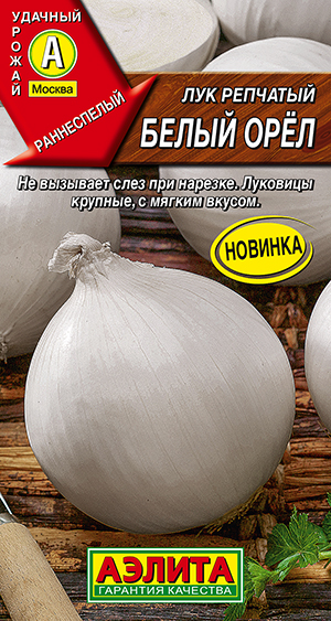 Лук репчатый Белый орёл
