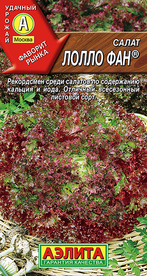 ����� ����� ��� ��������