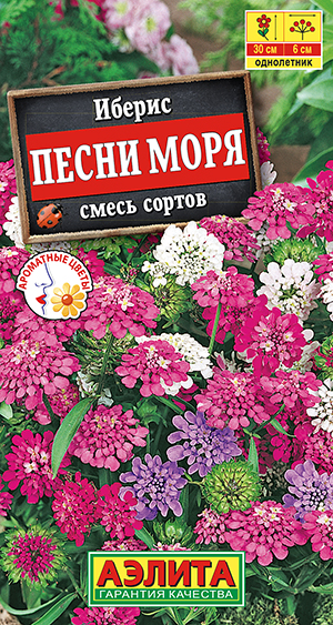 Иберис Песни моря, смесь сортов Иберис Песни моря, смесь сортов