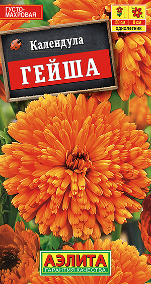 ��������� ����� ��������