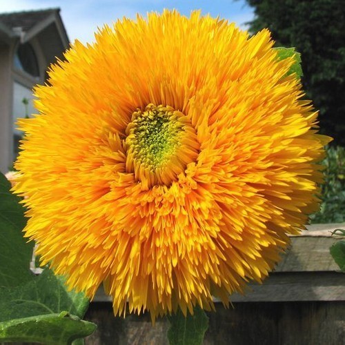 ������������ ������������ ������������ �������� �������