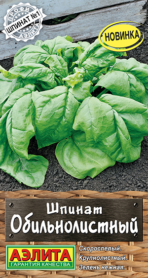 Шпинат Обильнолистный Шпинат Обильнолистный