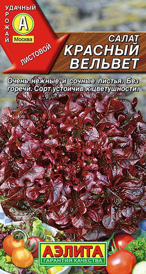 ����� ������� ������� ��������