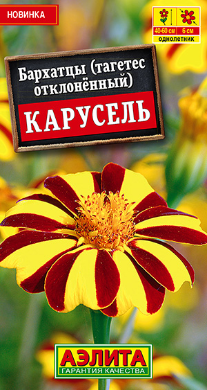 �������� �������� �����������