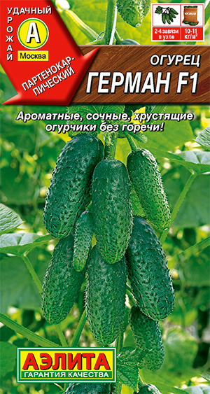 ������ ������ F1